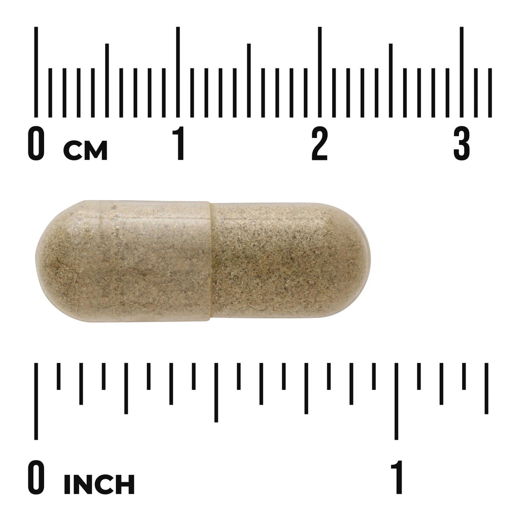Echinacea