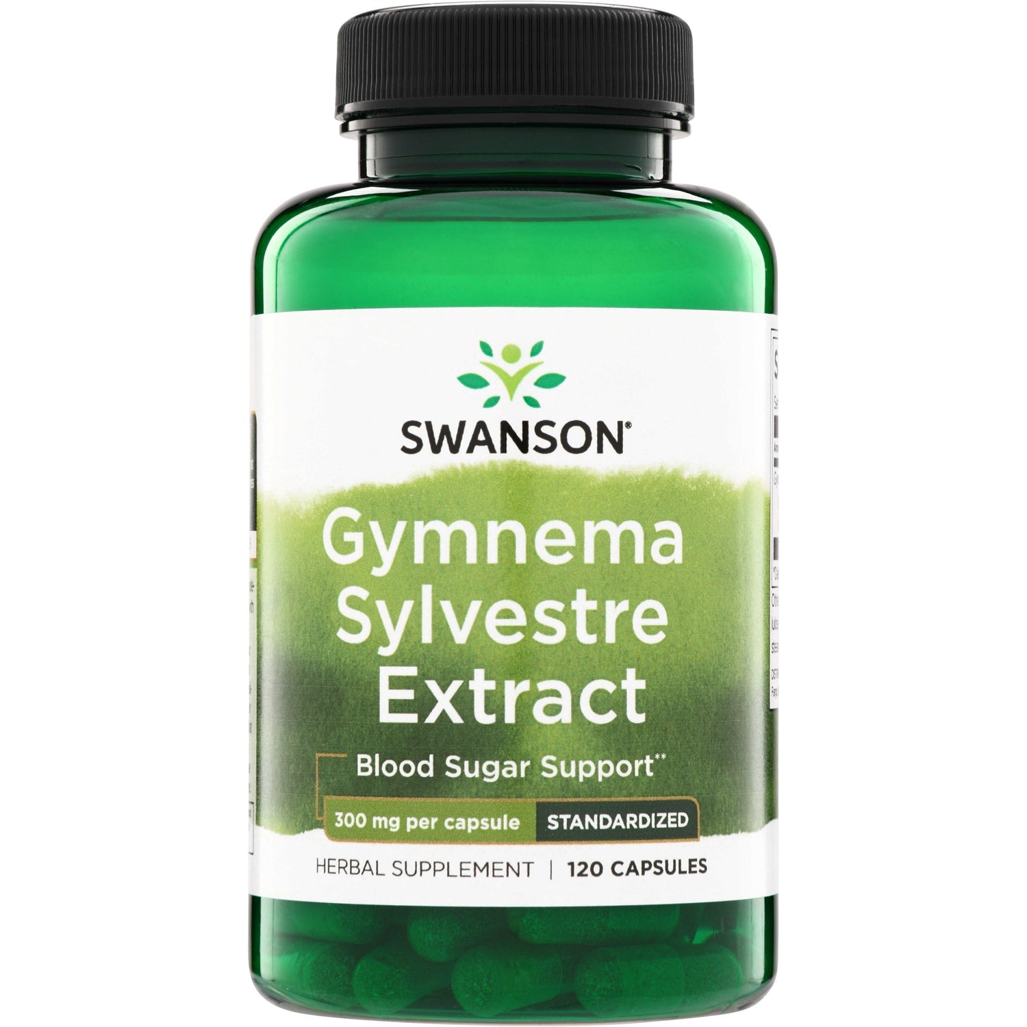 Gymnema Sylvestre Extract - Standardized