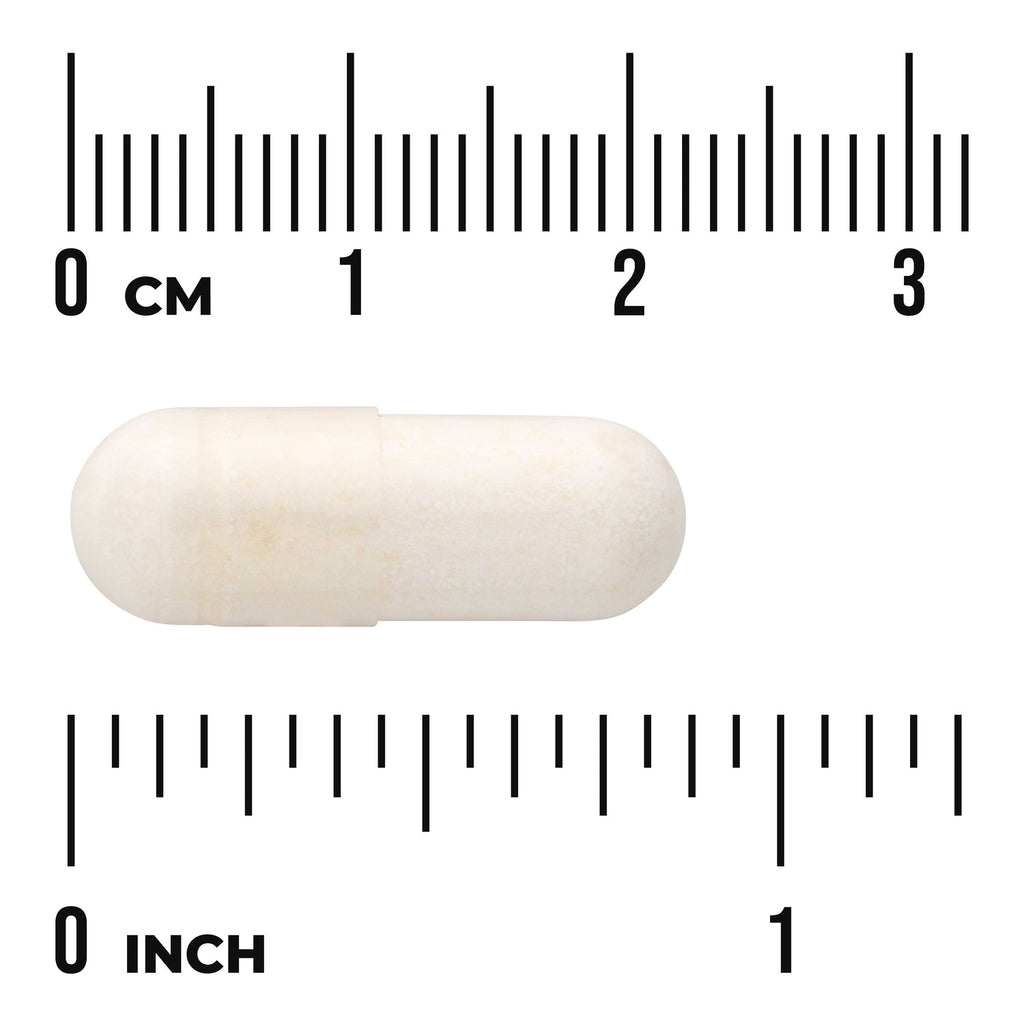 L. Reuteri Plus