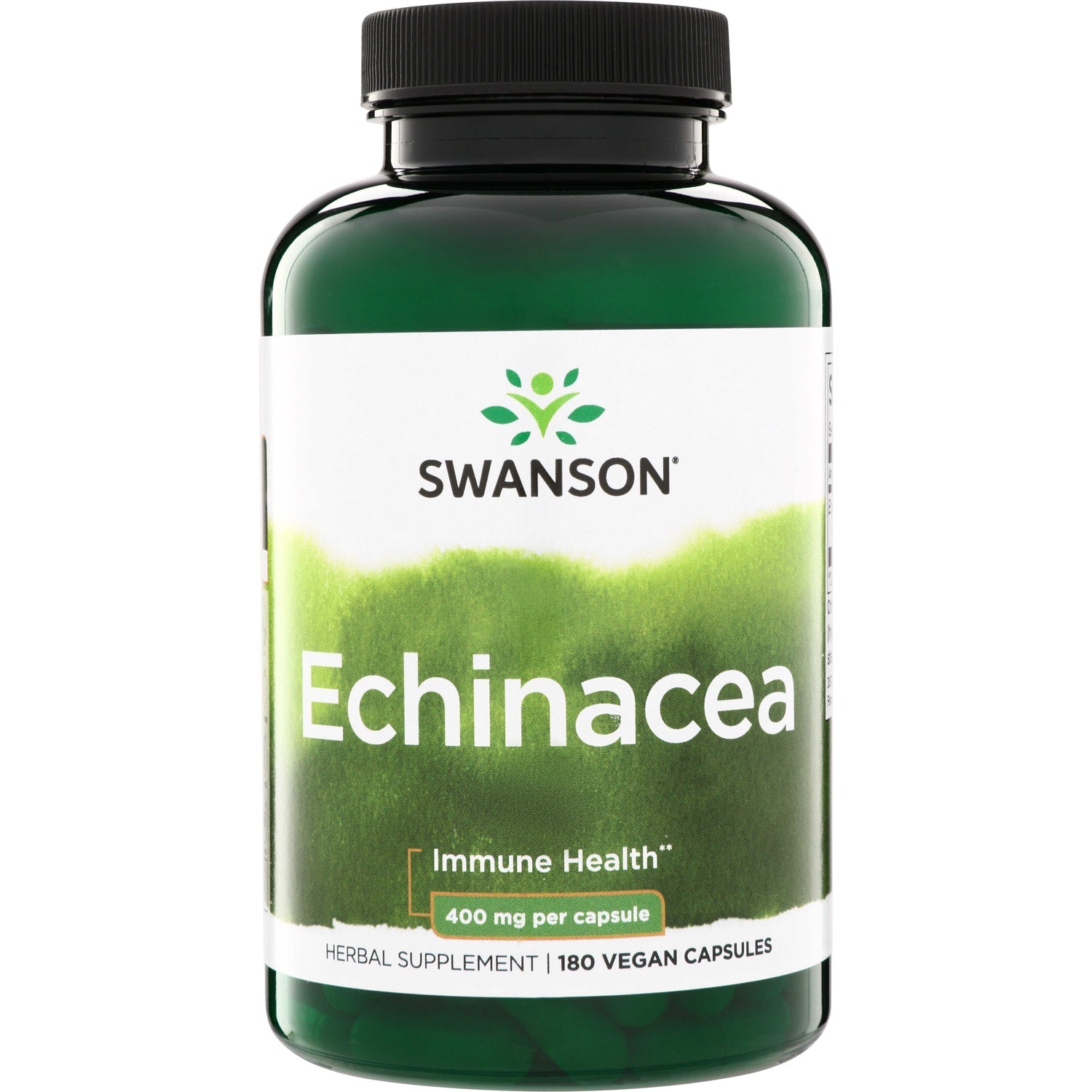 Echinacea