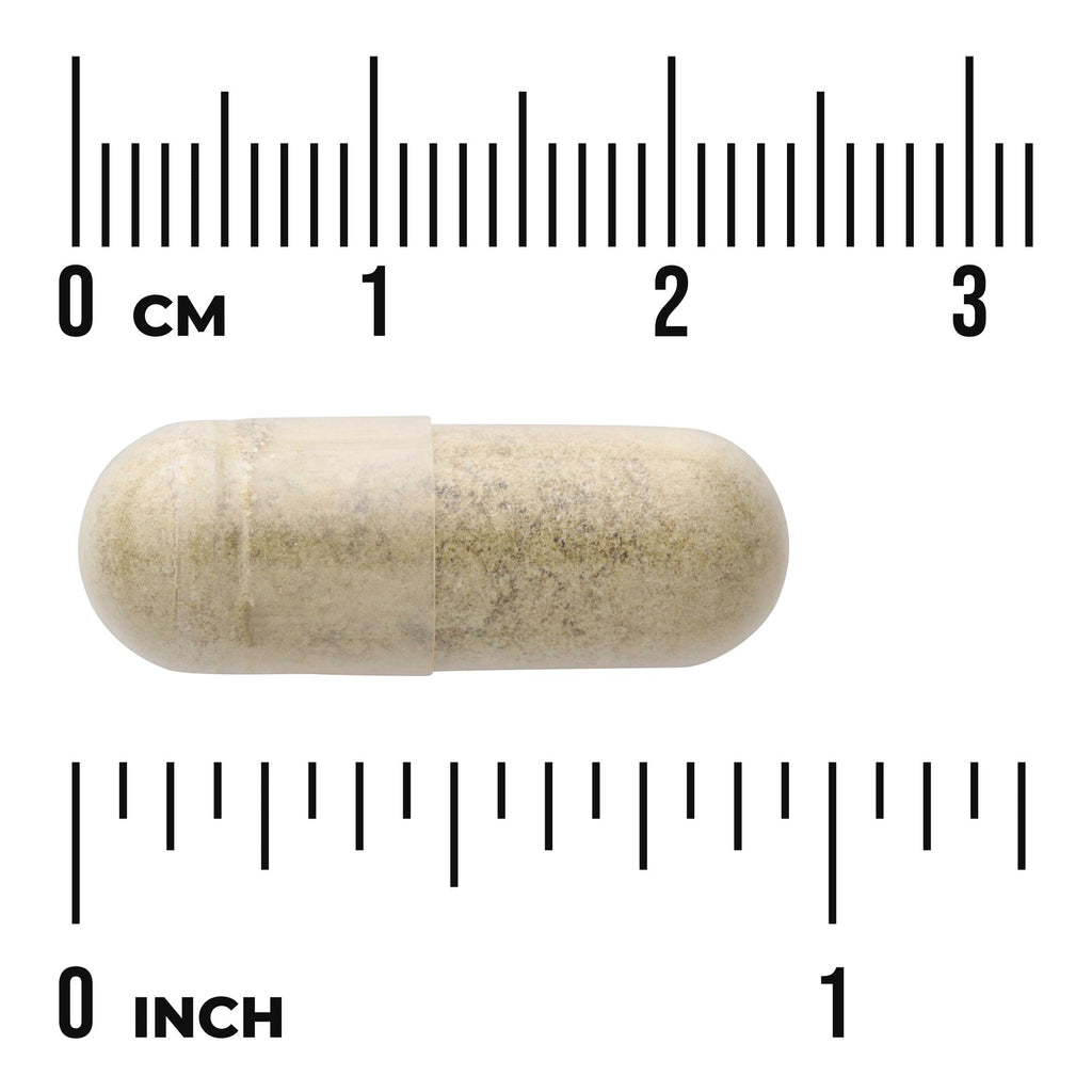 Olive Leaf Extract