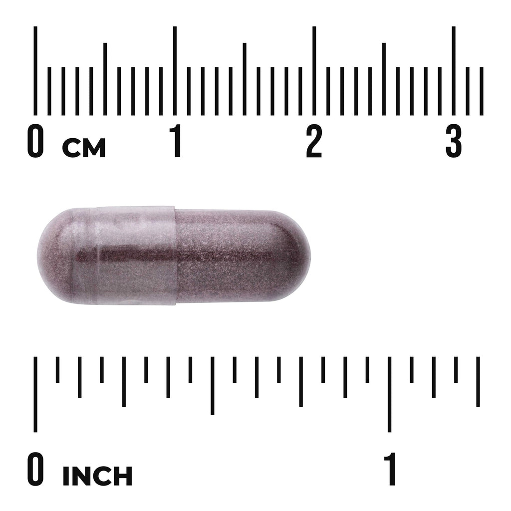 Bilberry Extract - Standardized