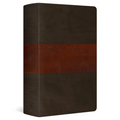 ESV Large Print Personal Size Bible, Red Letter, Thumb Indexed (Trutone, Forest/Tan, Trail Design)