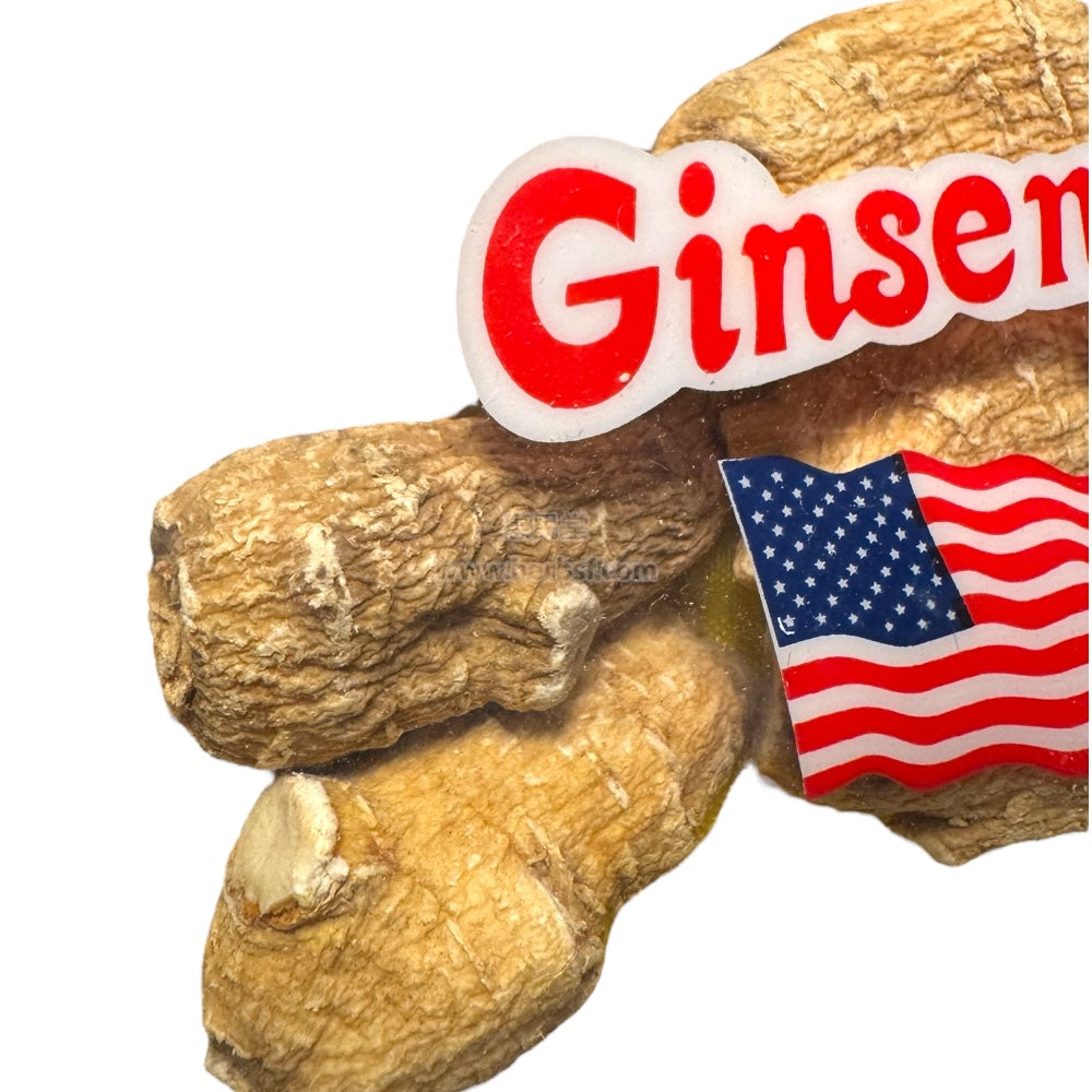 American Ginseng Root Large Gift Box 4oz 113g