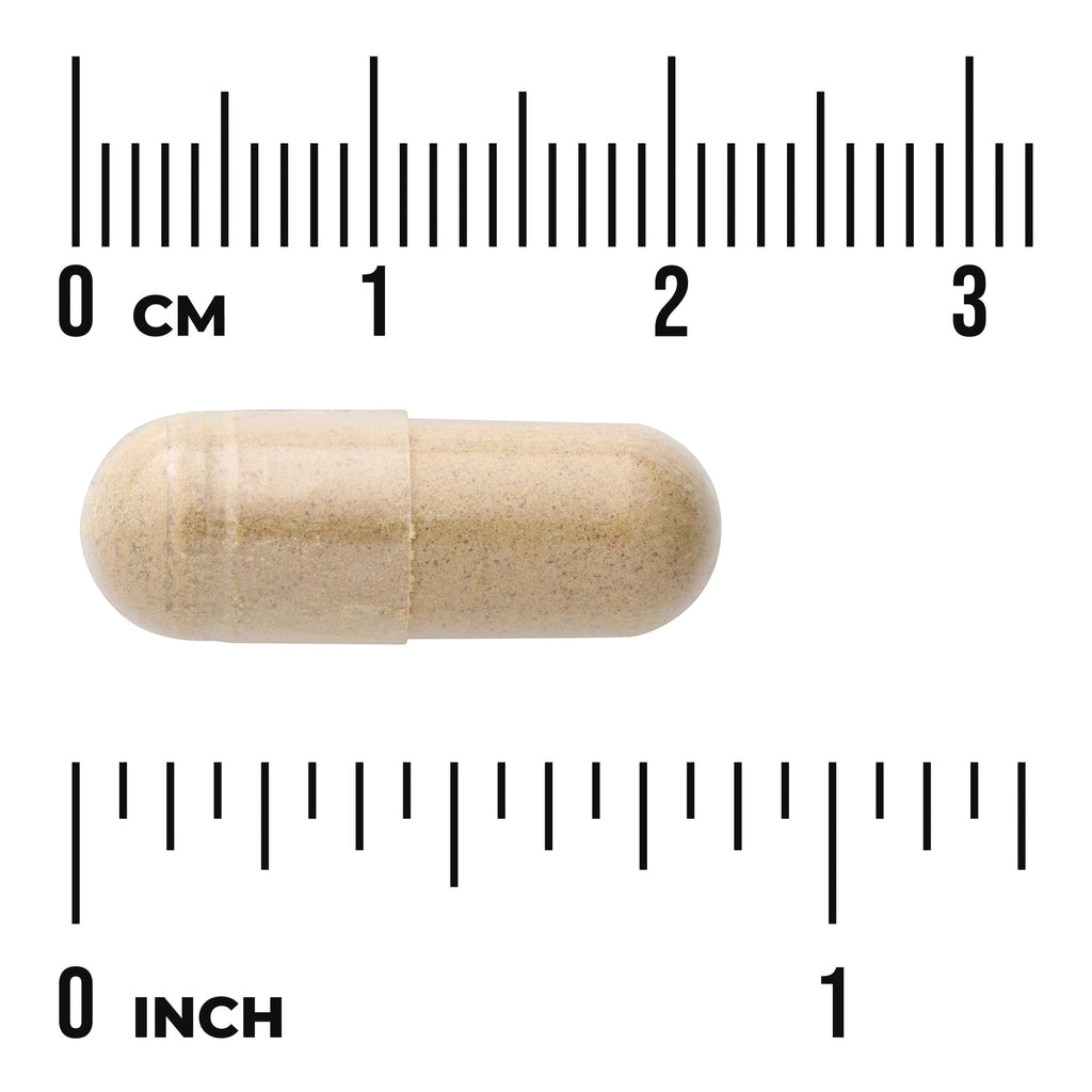 Milk Thistle - Features 80% Silymarin
