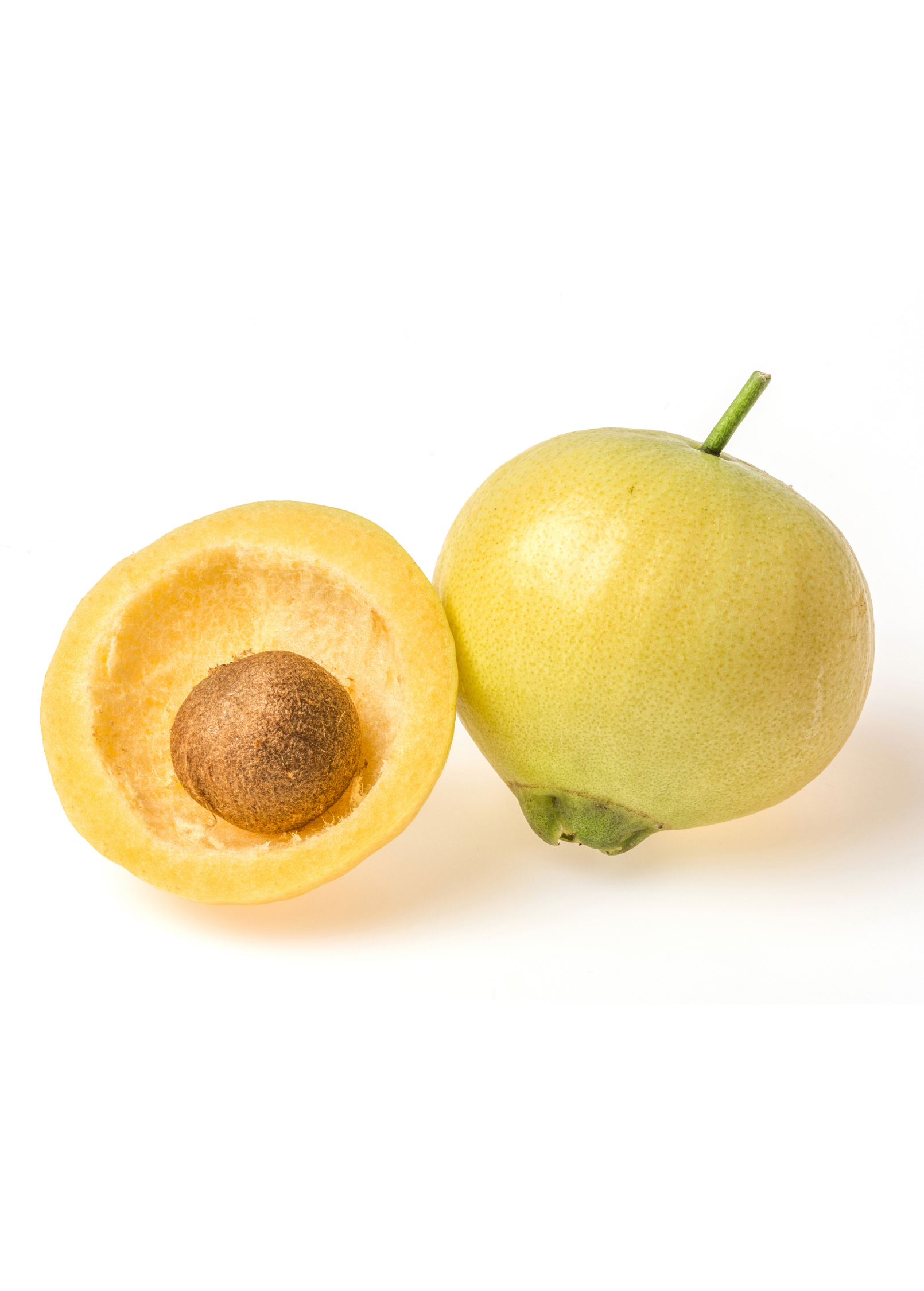 Rose Apple (Syzygium jambos)