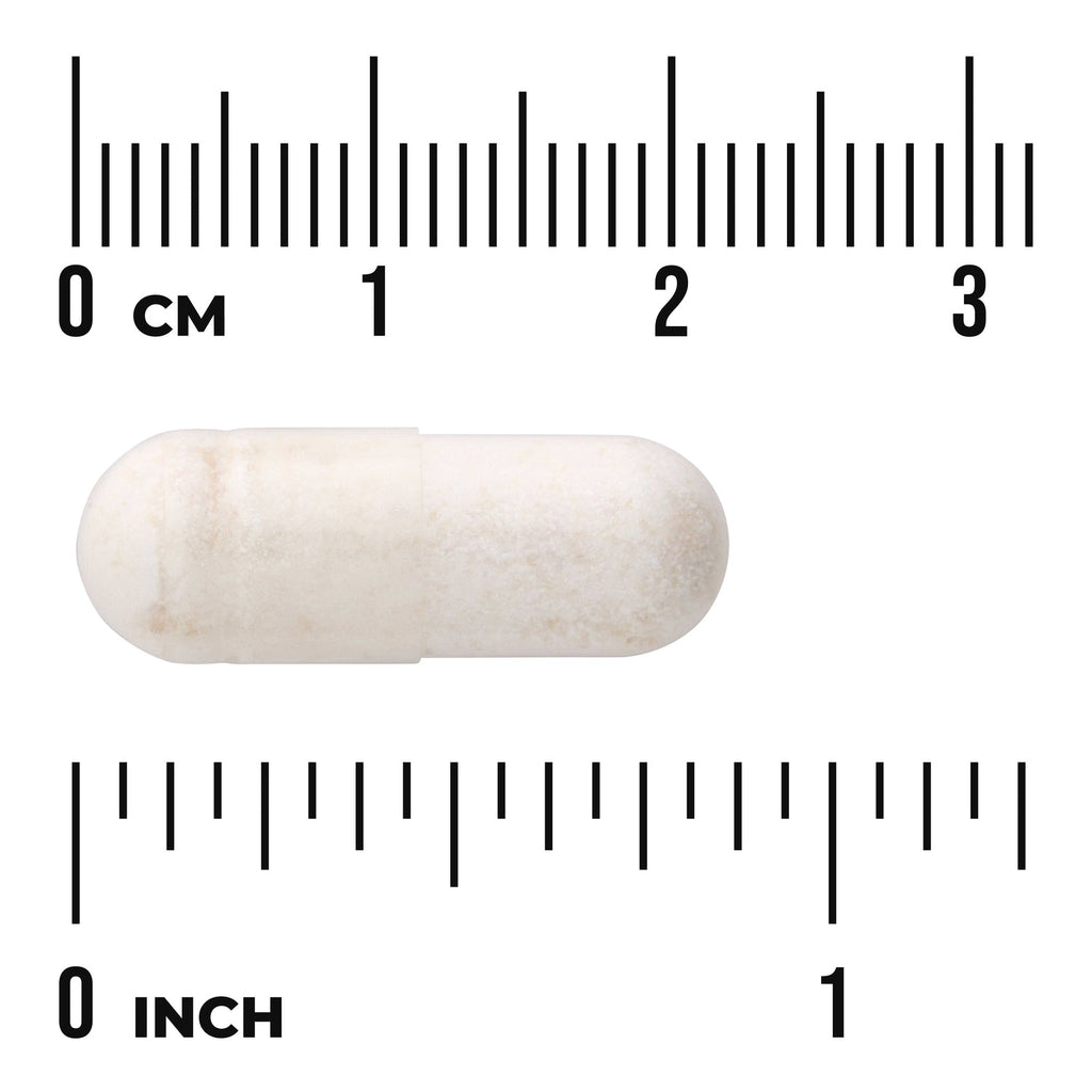 Probiotic with Digestive Enzymes