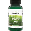 Full Spectrum Plantain Leaf