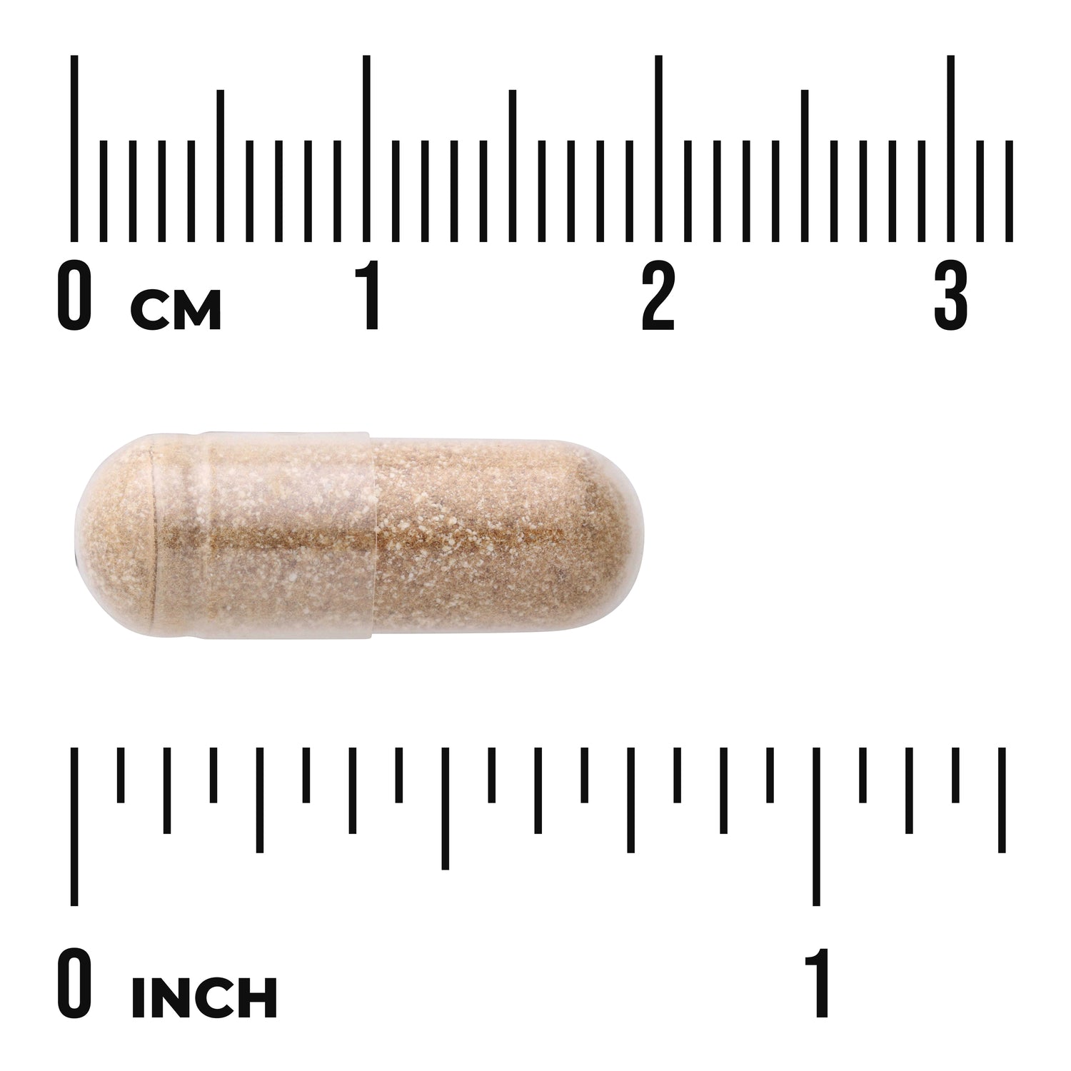 Lung Glandular