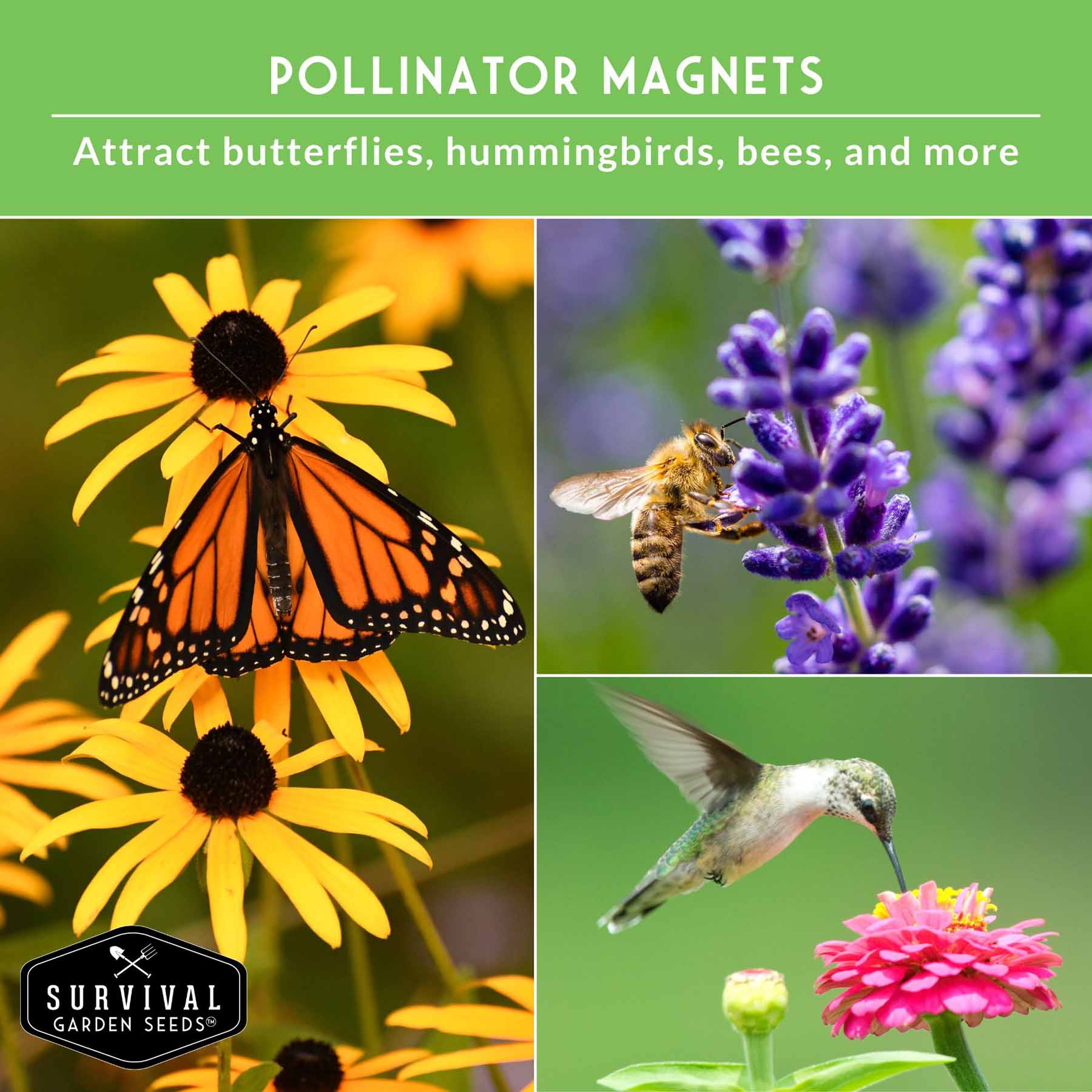 Functional Flower Garden Kit - 36 Seeds for Beauty, Bees & Wellness