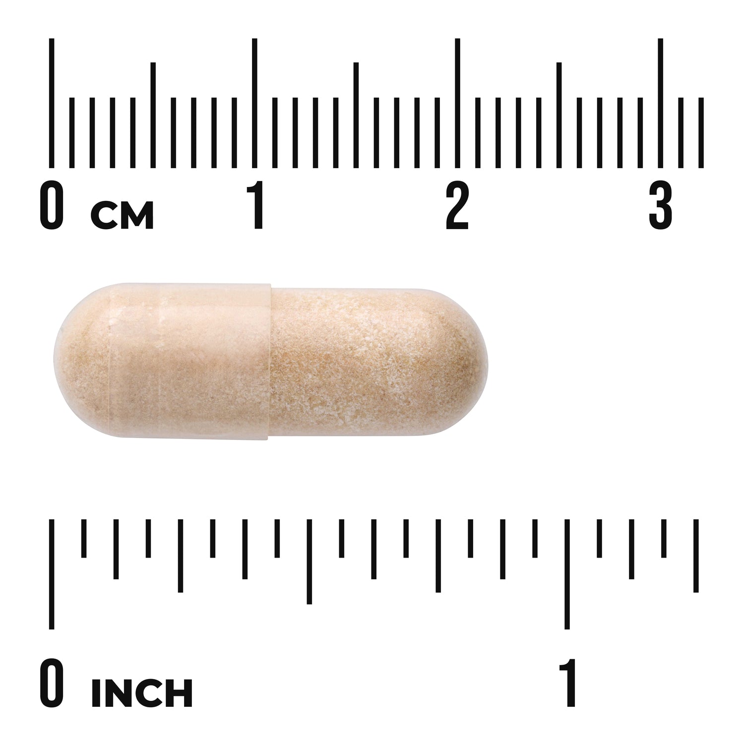 Horse Chestnut Extract - Standardized