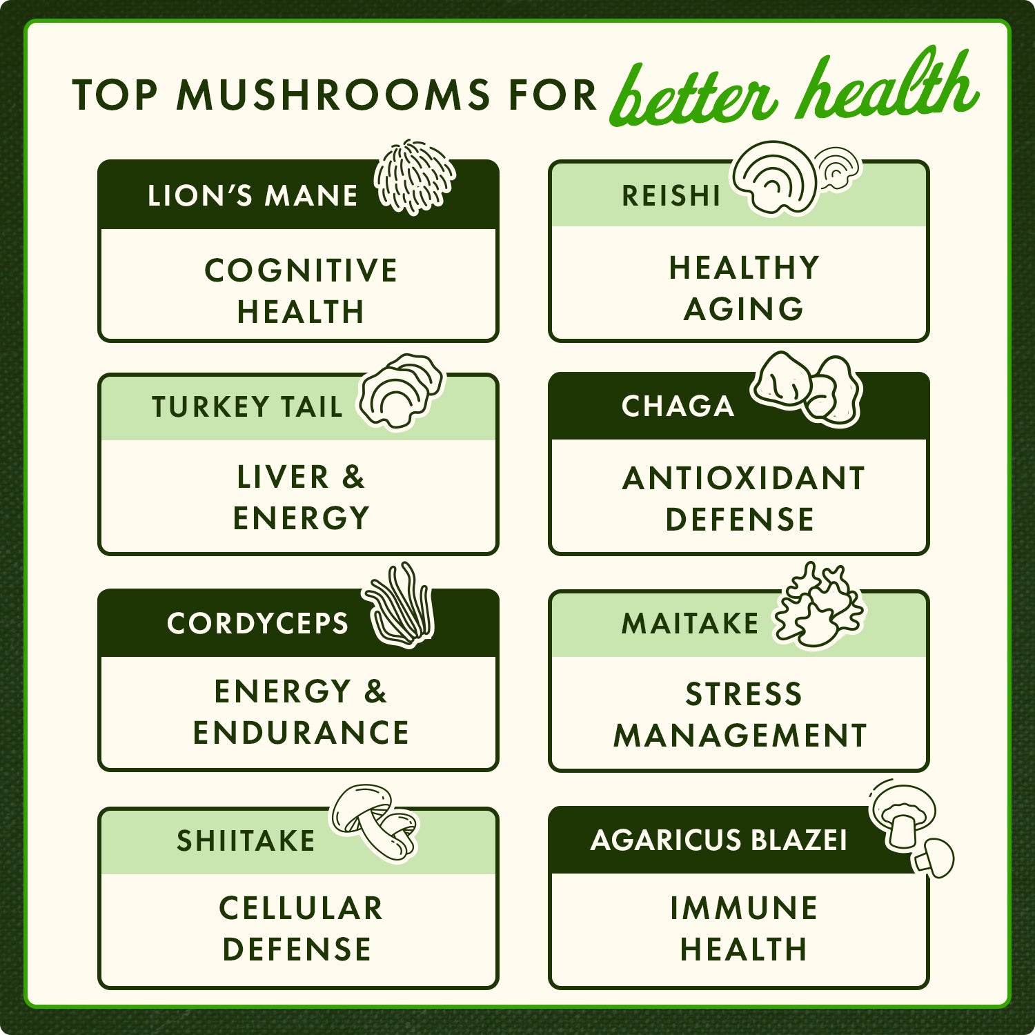 Reishi Mushroom Extract - Standardized