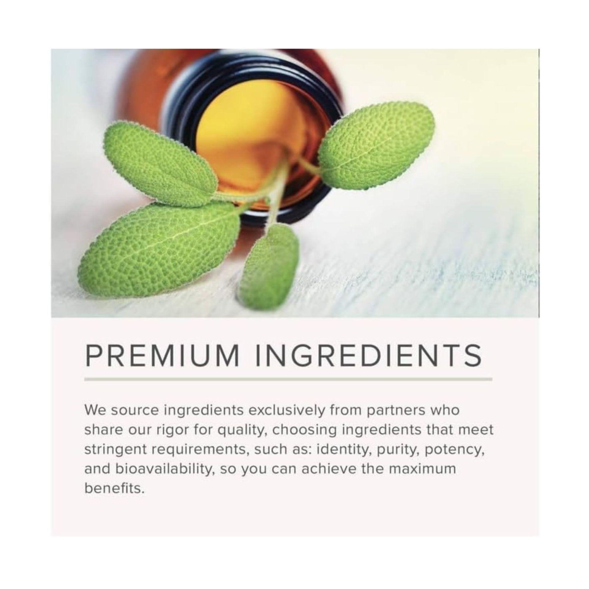 NusaPure Liver & Kidney Support with Cranberry Fruit & Milk Thistle Extract 650 mg 60 Capsules Non-GMO Soyfree Dietary Supplement
