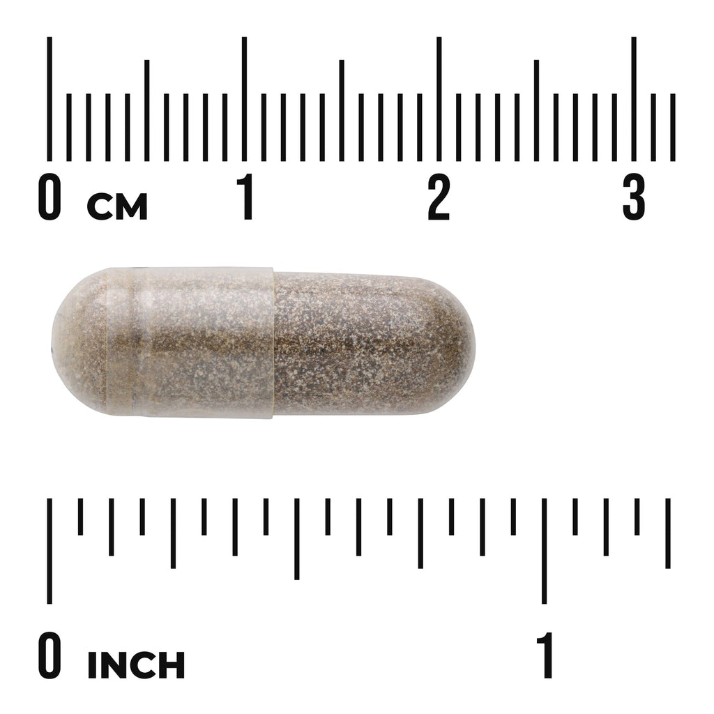 Gymnema Sylvestre Extract - Standardized