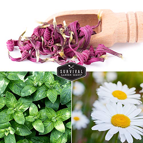 Herbal Tea Garden Seeds Kit – 5 Heirloom Medicinal Herbs for Soothing Teas, Remedies & Pollinator-Friendly Gardens