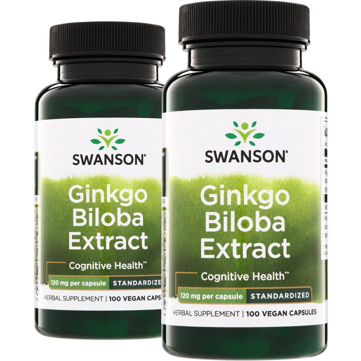 Ginkgo Biloba Extract - Standardized