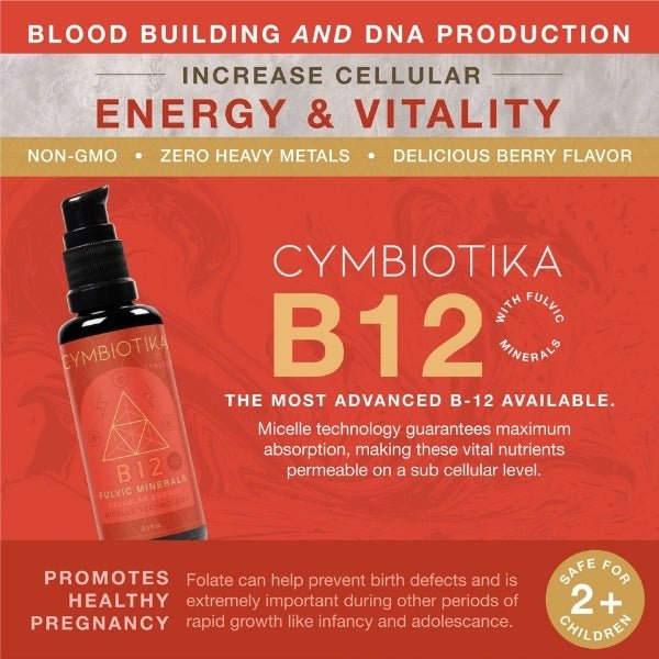 Energy & Performance Bundle