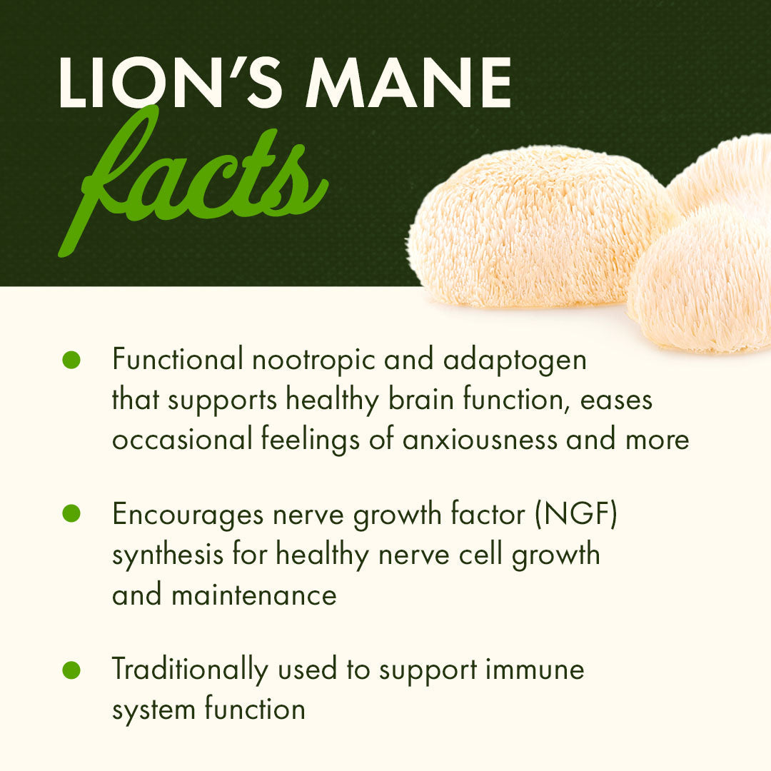 Full Spectrum Lion's Mane Mushroom