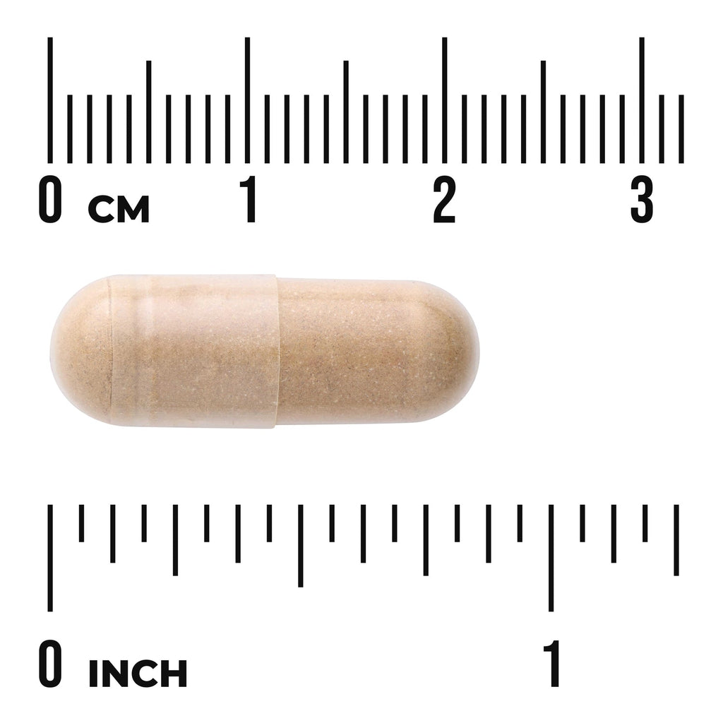 Kidney Glandular