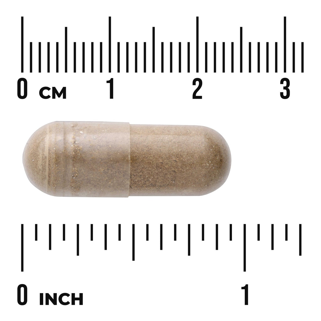 Full Spectrum Uva Ursi Leaf
