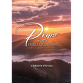 PRAISE in the VALLEY OF DESPAIR: A Book of Poems