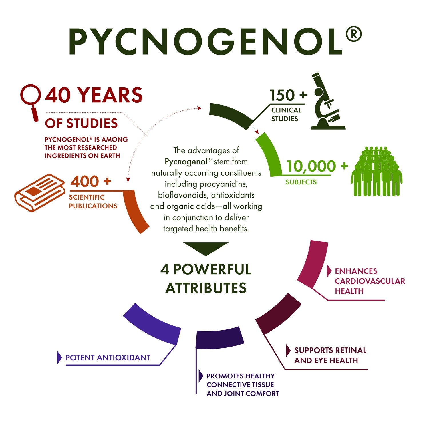 Pycnogenol - Super Strength