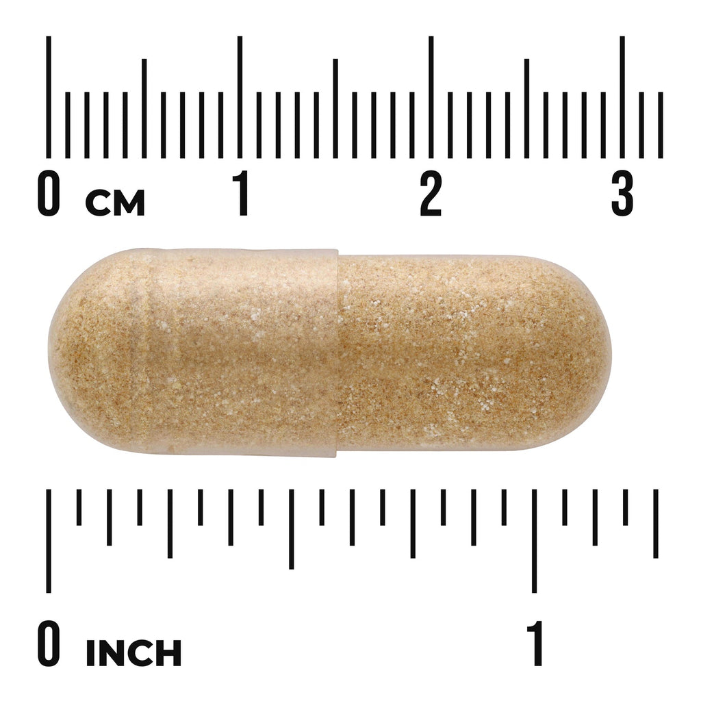 Chinese Skullcap
