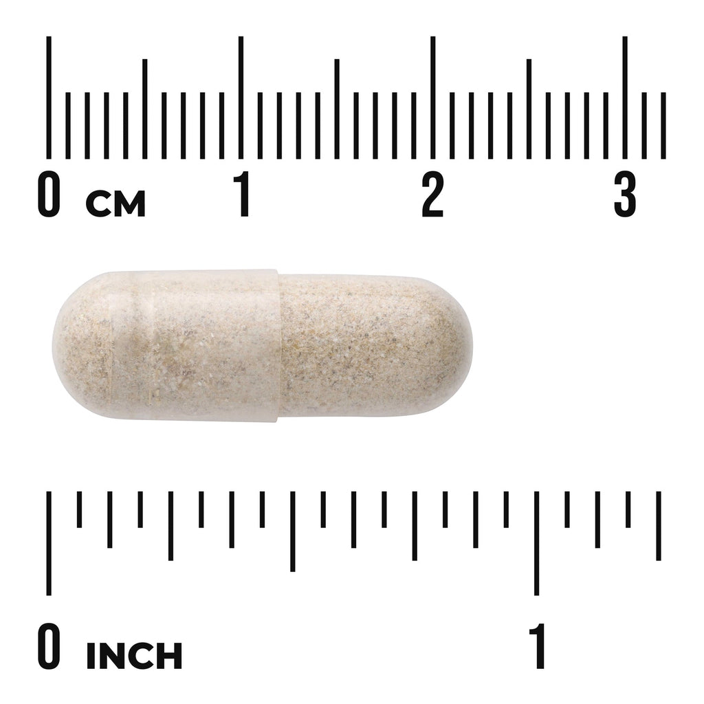 Elderberry & Echinacea with Agaricus Blazei Mushroom