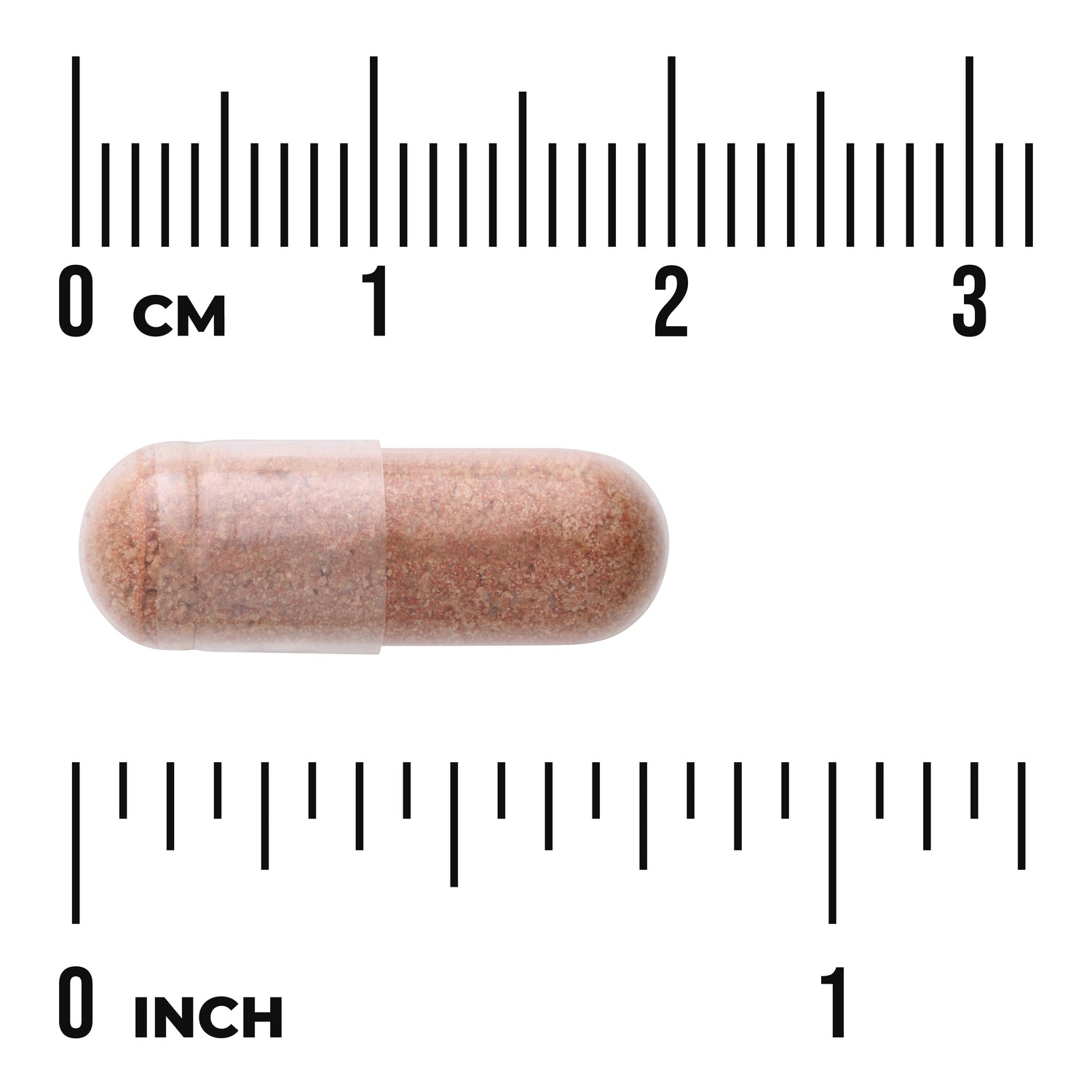 Pine Bark Extract - Standardized