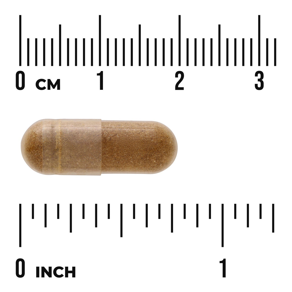 Actiponin AMP-K Stimulator