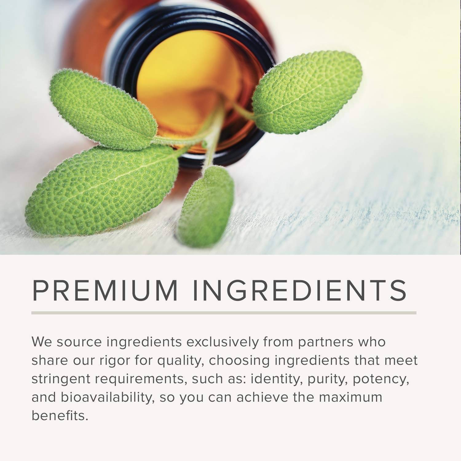 NusaPure Quercetin - Suitable for Vegetarian/Vegan, Non - GMO - 1000 mg - 200 Capsules