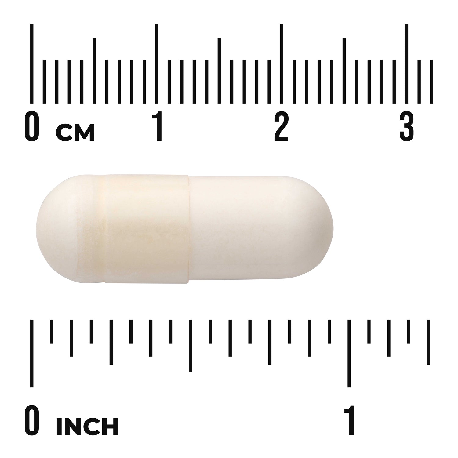 Probiotic Complex