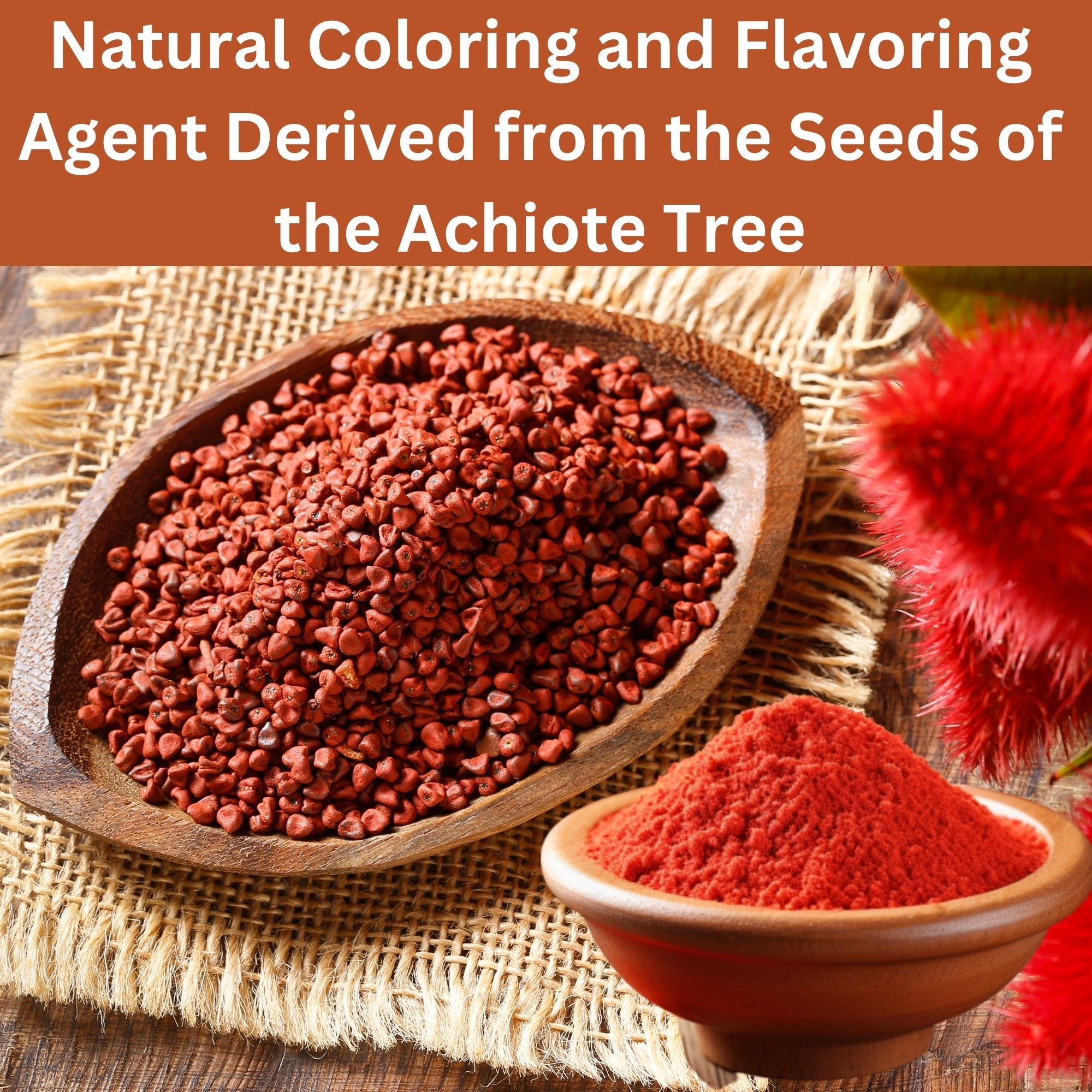Organic Annatto Powder — USDA Certified | Achiote, Rice Dishes & Latin Cooking