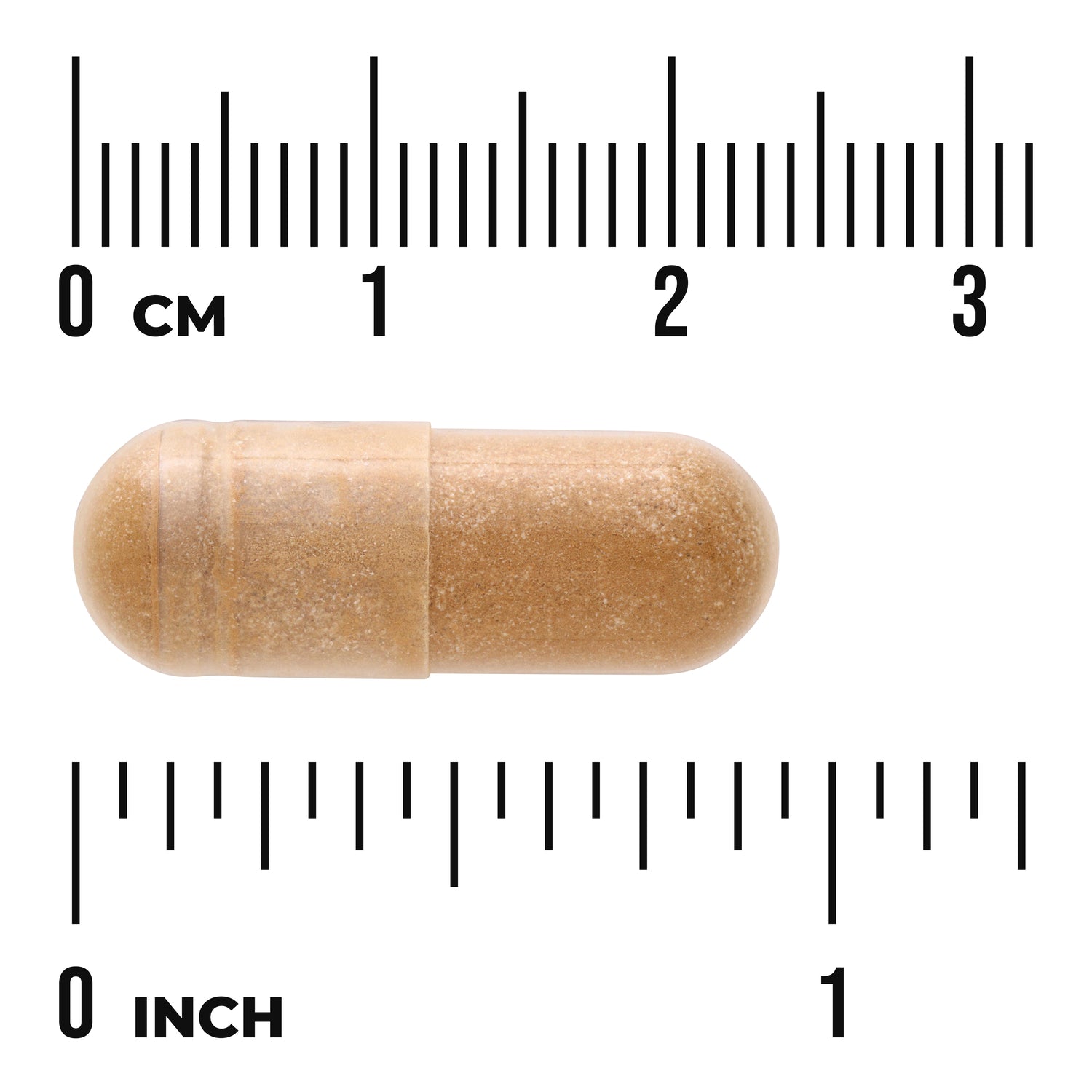 Fucoidan Extract