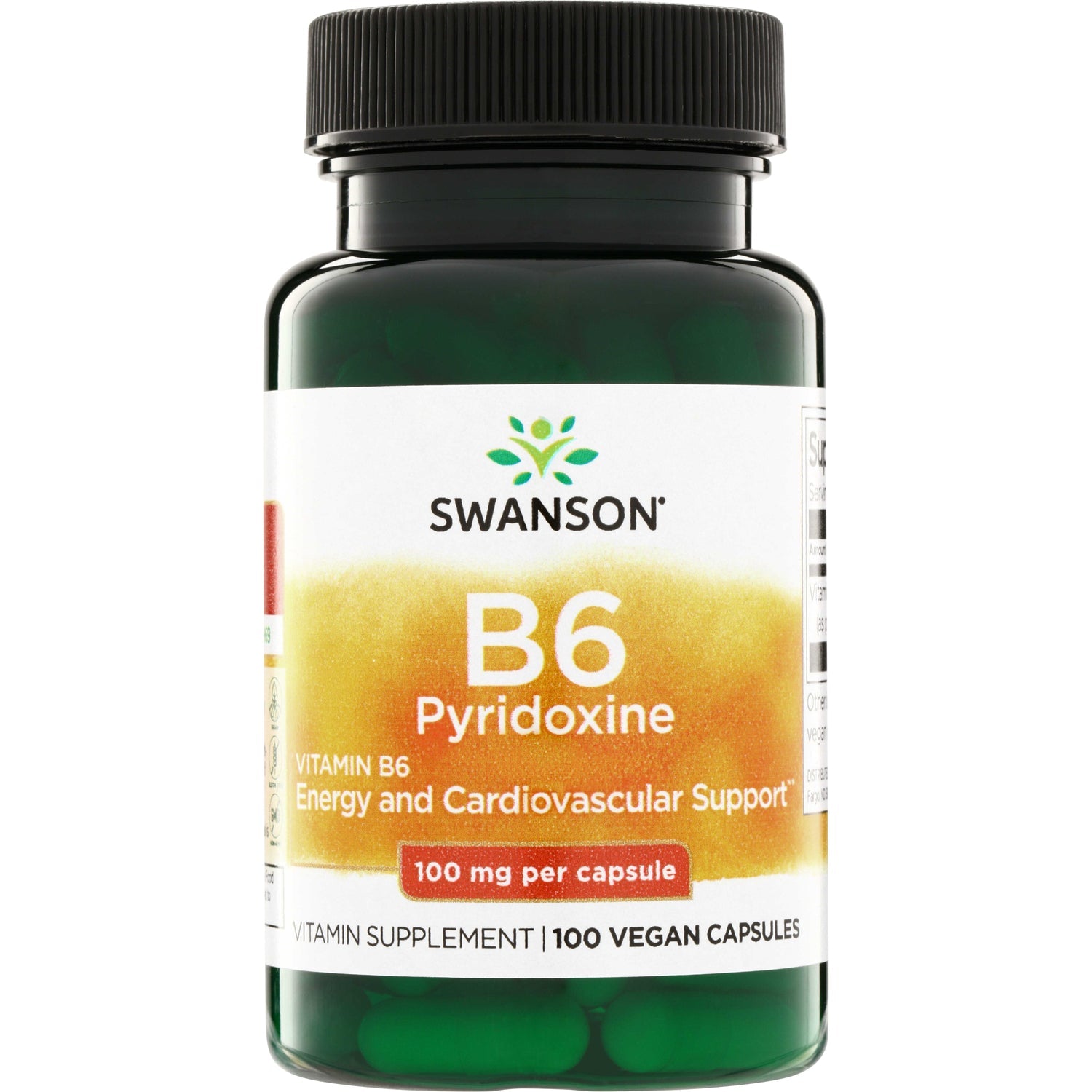 Vitamin B6 Pyridoxine