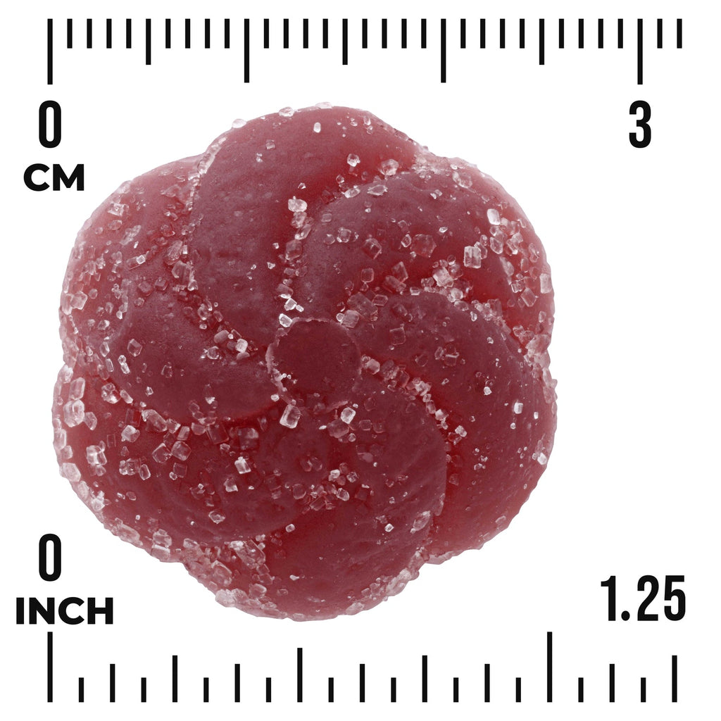 CBD + Sleep Gummies - Berry