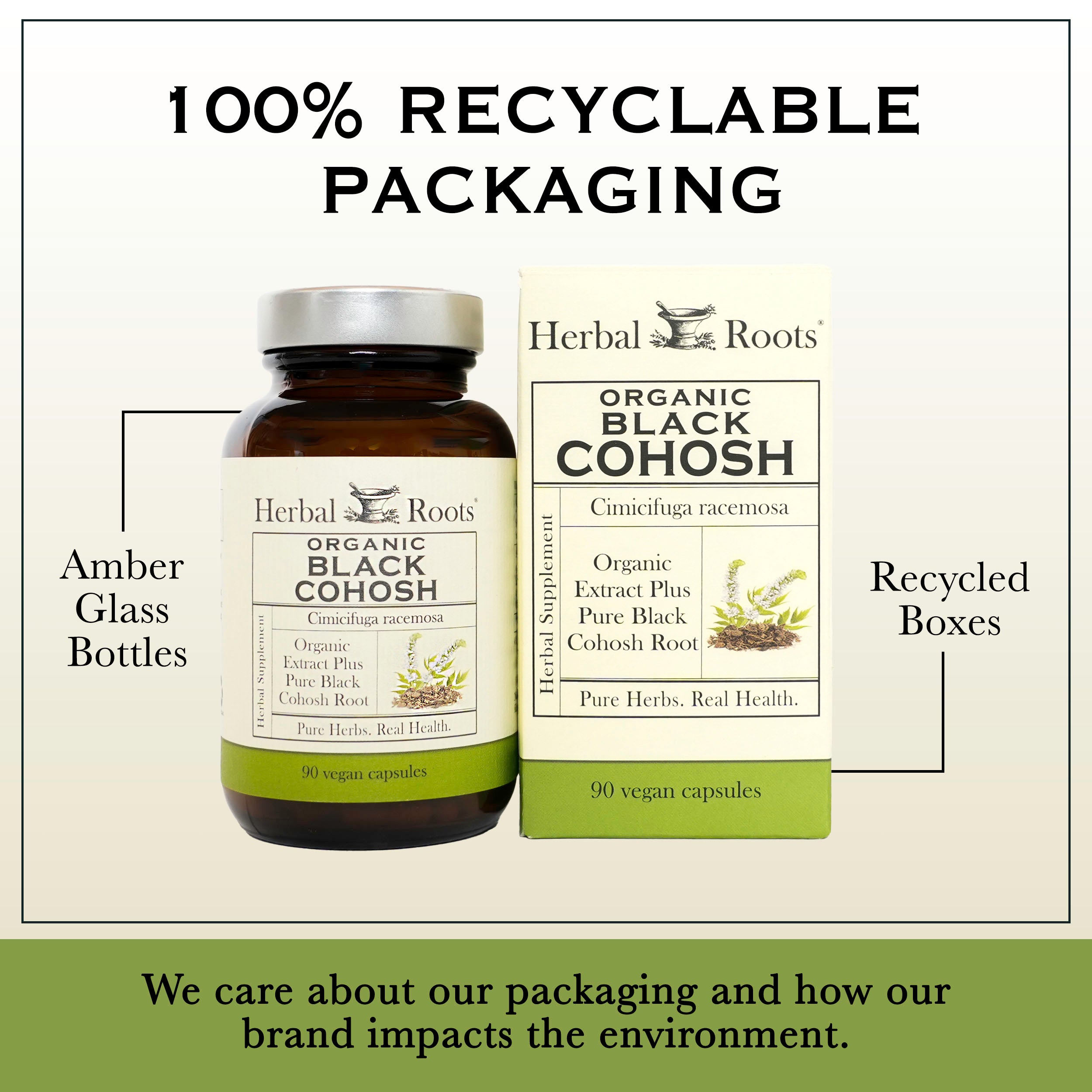 Organic Black Cohosh