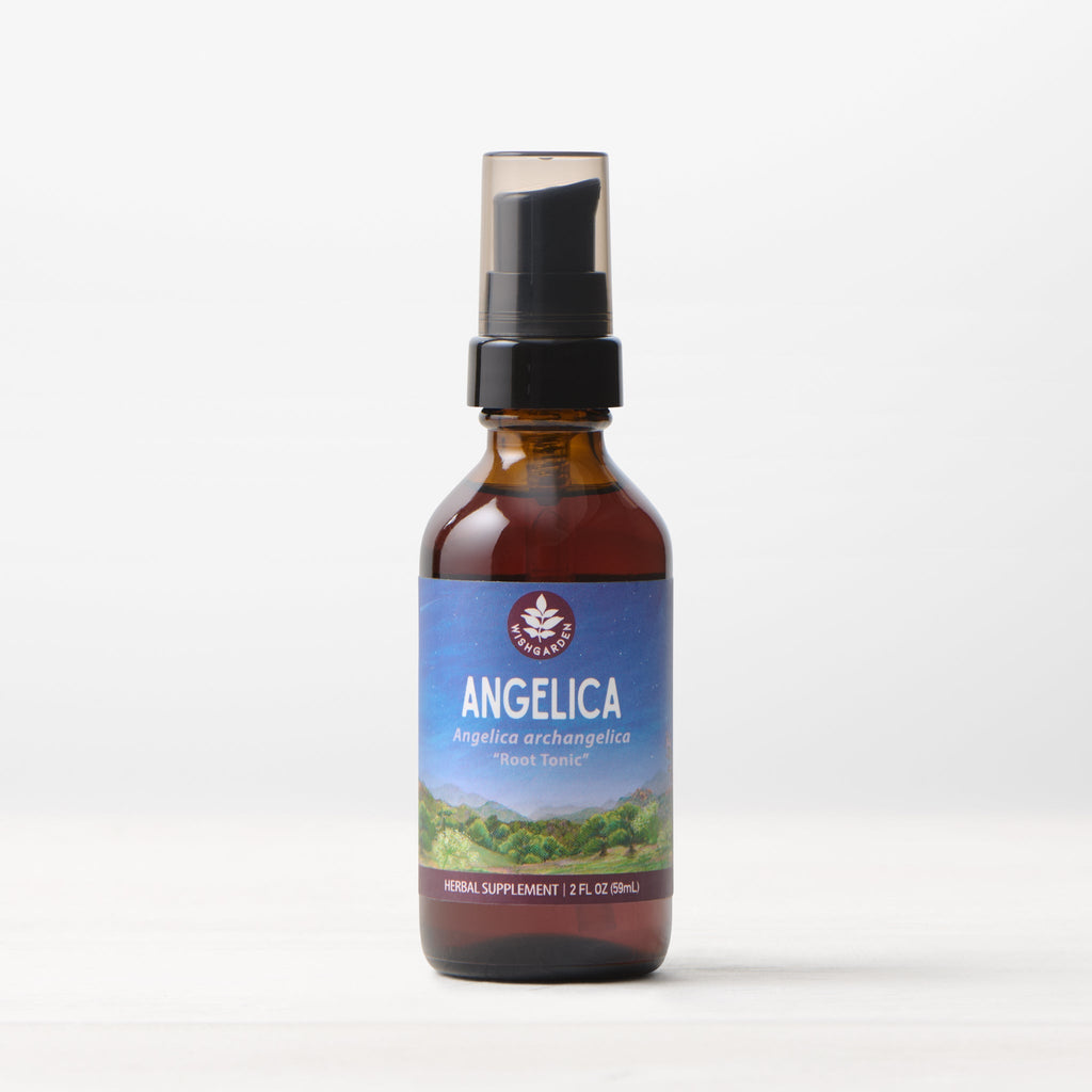 Angelica Root Tincture