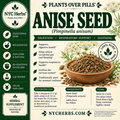Anise Seed