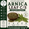 Arnica Leaf