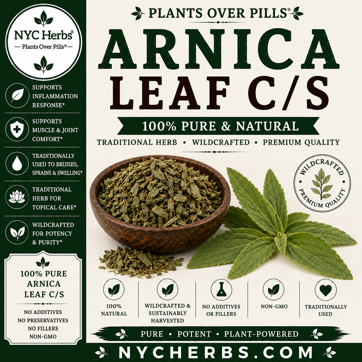 Arnica Leaf