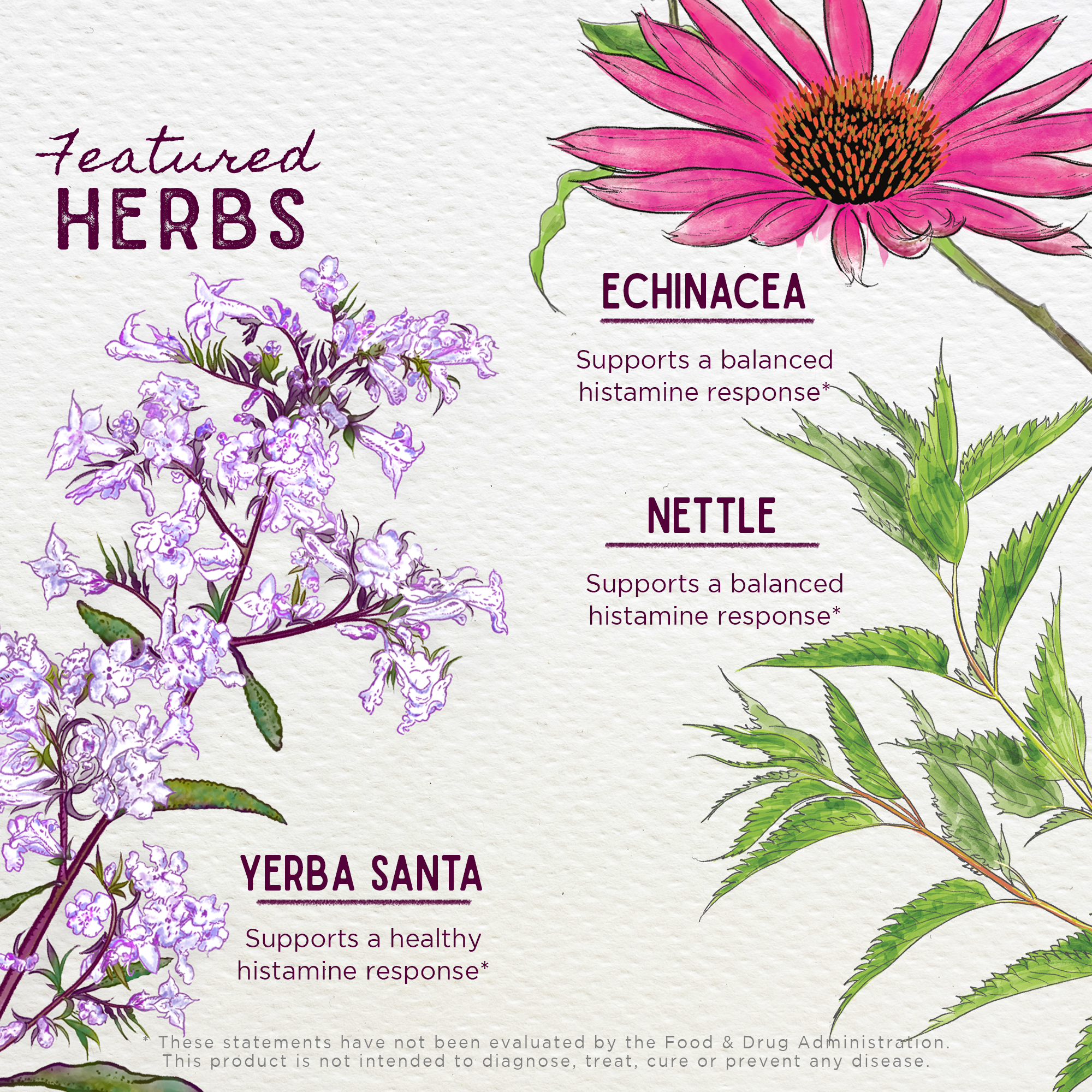 Kick-Ass Allergy, Seasonal Rescue For Pregnancy