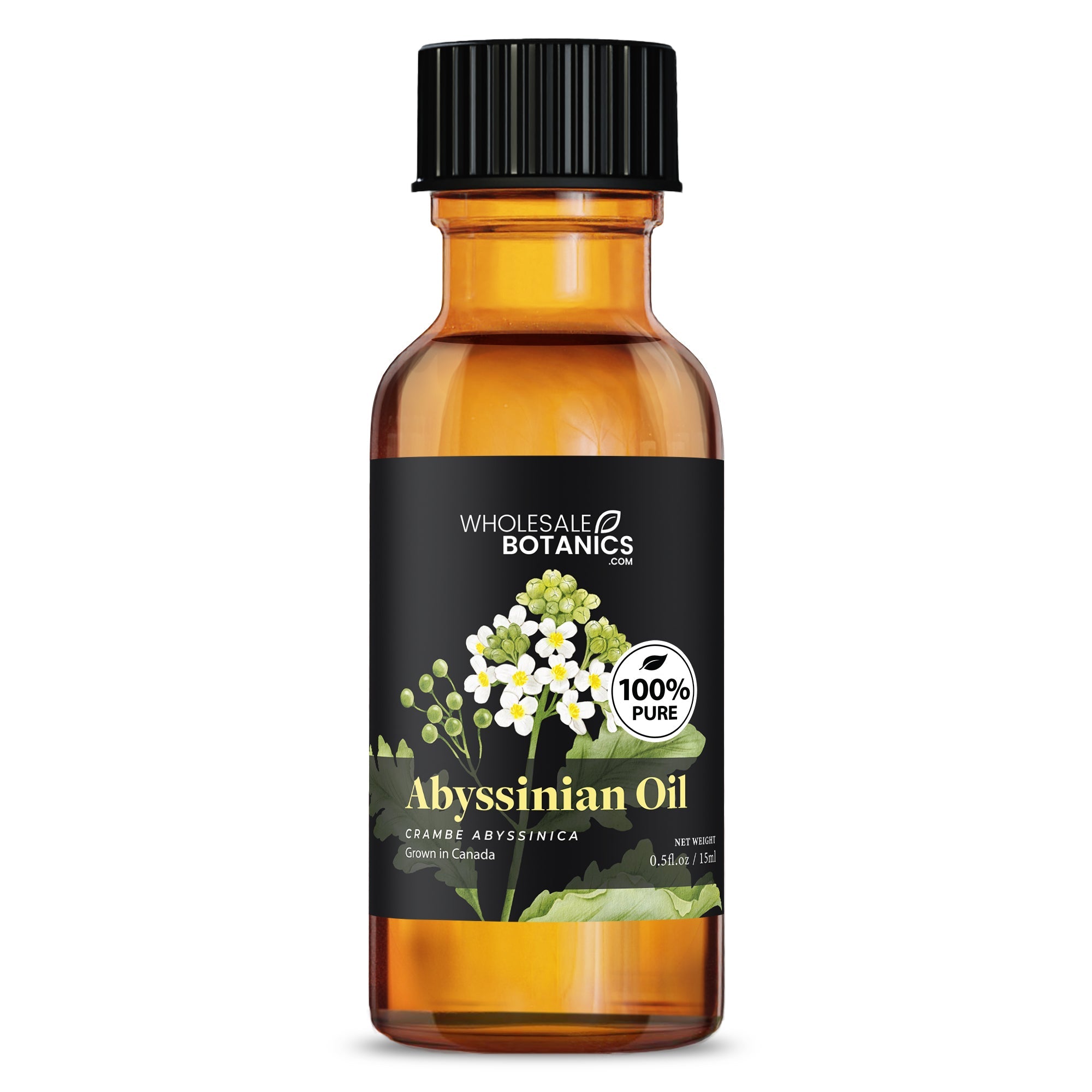 Abyssinian Oil