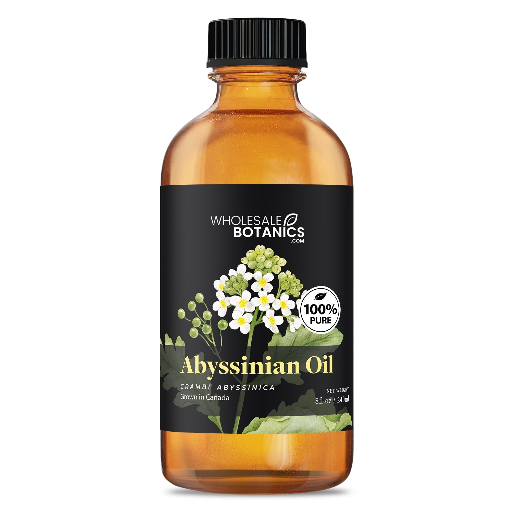 Abyssinian Oil
