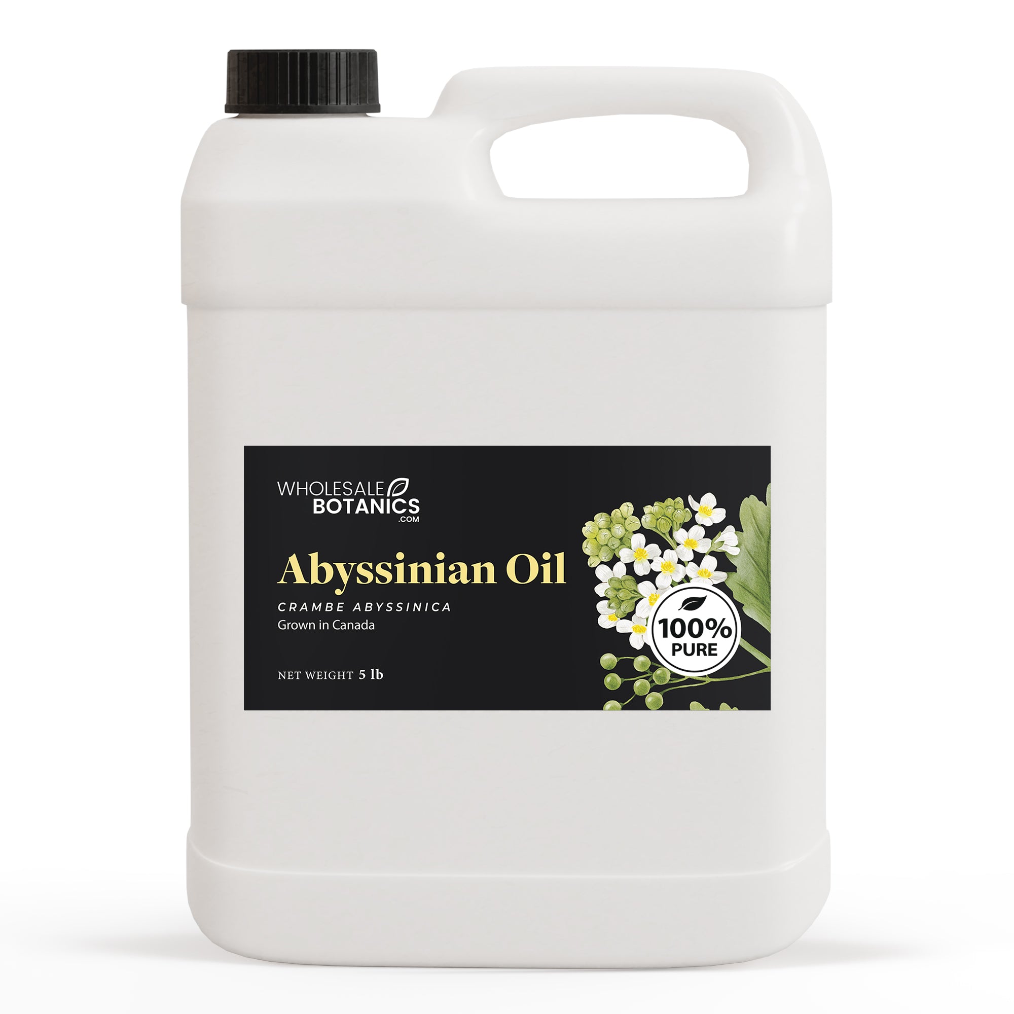 Abyssinian Oil