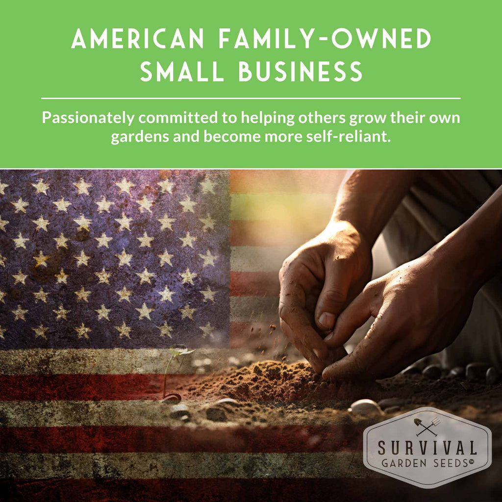 5-Variety Heirloom Cabbage Seed Collection – Non-GMO Green, Red & Napa Cabbages for Spring and Fall Gardens