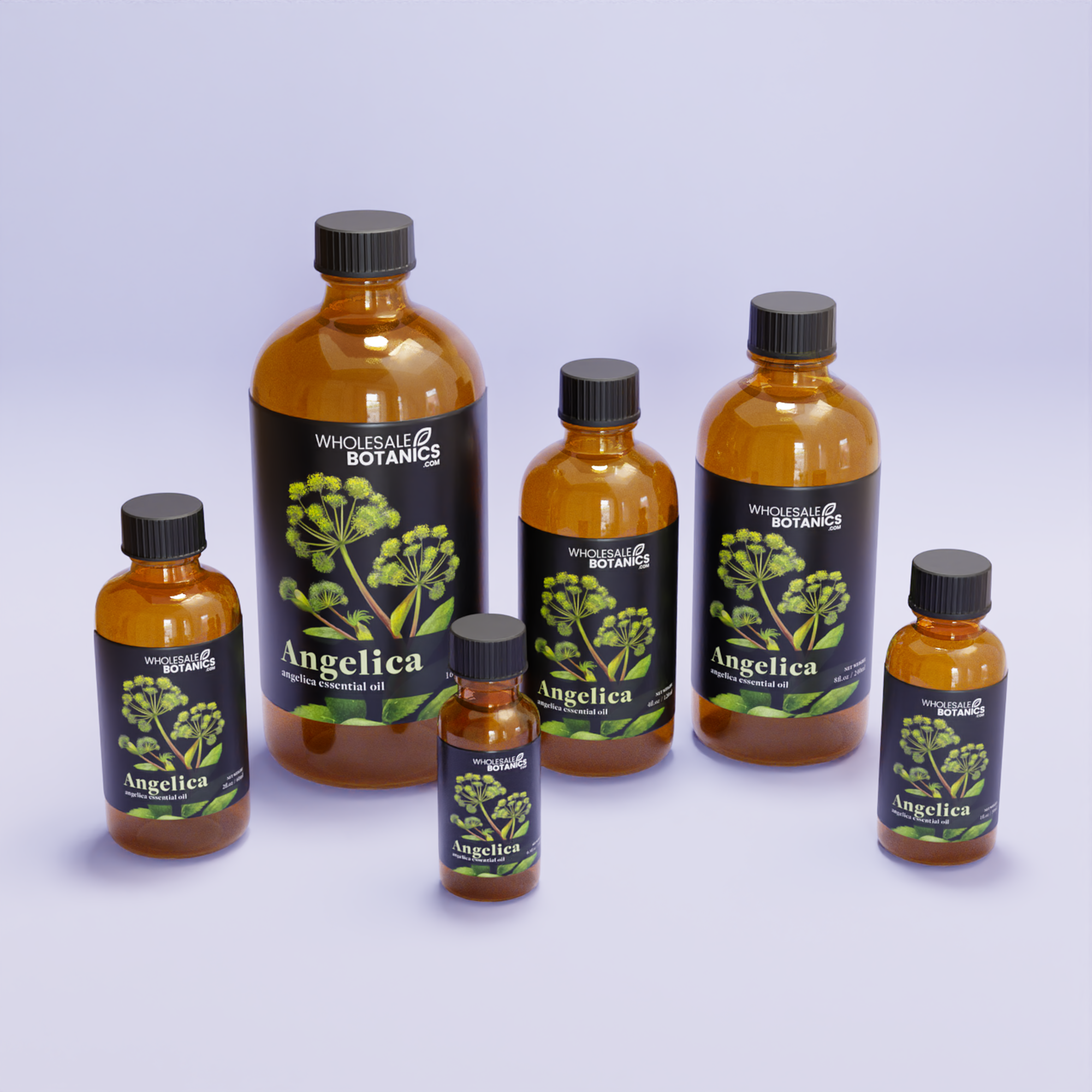 Angelica Essential Oil