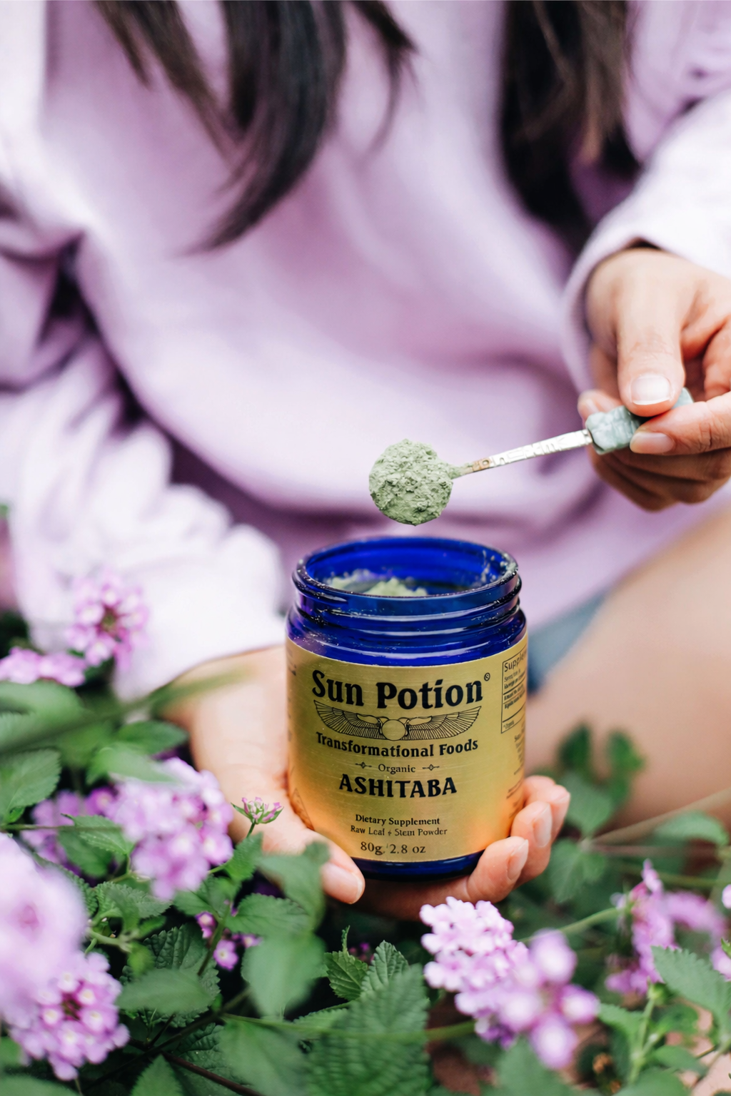 Ashitaba Leaf & Stem Powder (Wildcrafted)
