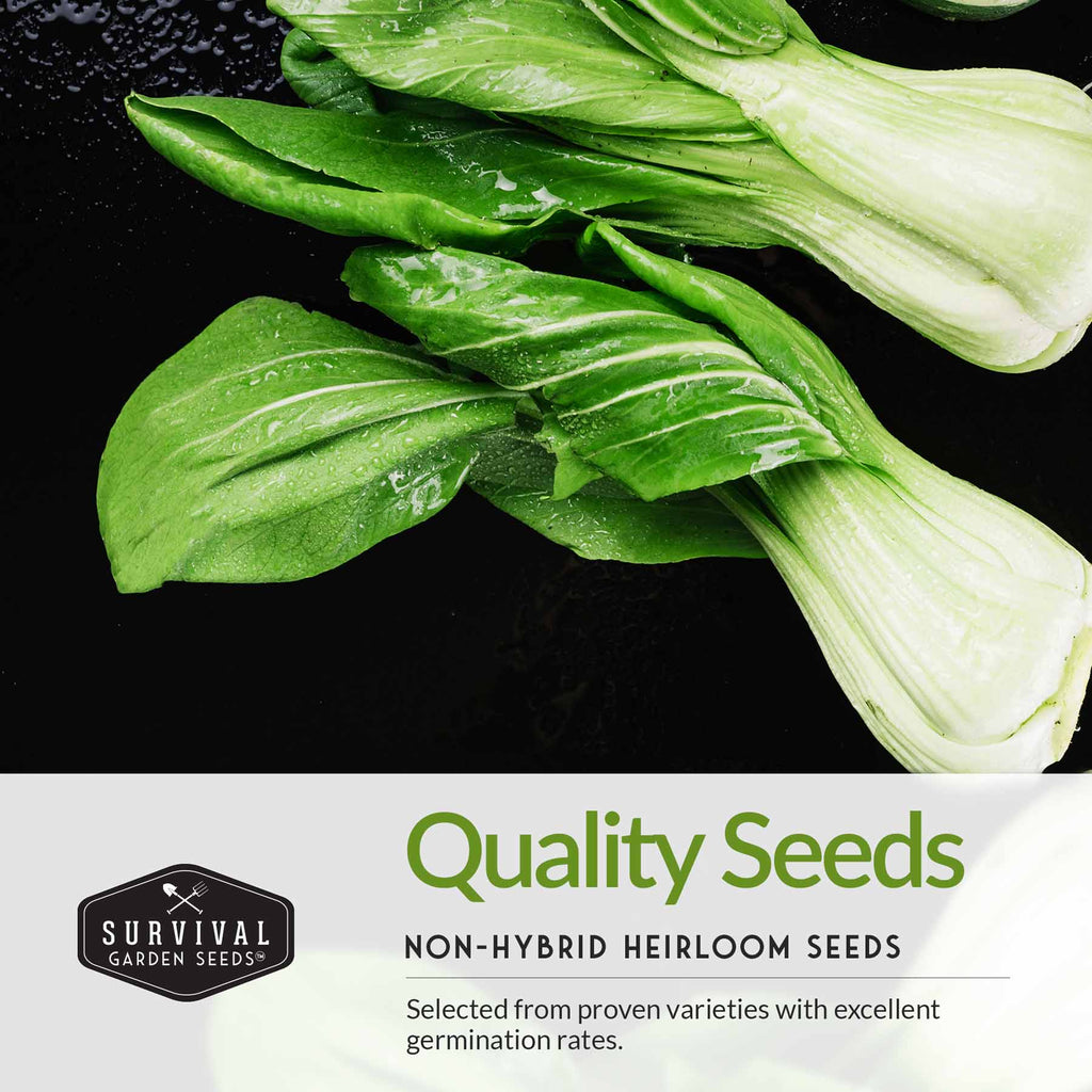 Asian Vegetable Seed Collection – 6 Heirloom, Non-GMO Varieties for Stir-Fries, Soups & Authentic Home Cooking