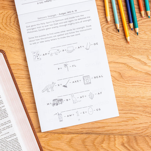 Bible Activity Book: Kingdoms and Captives